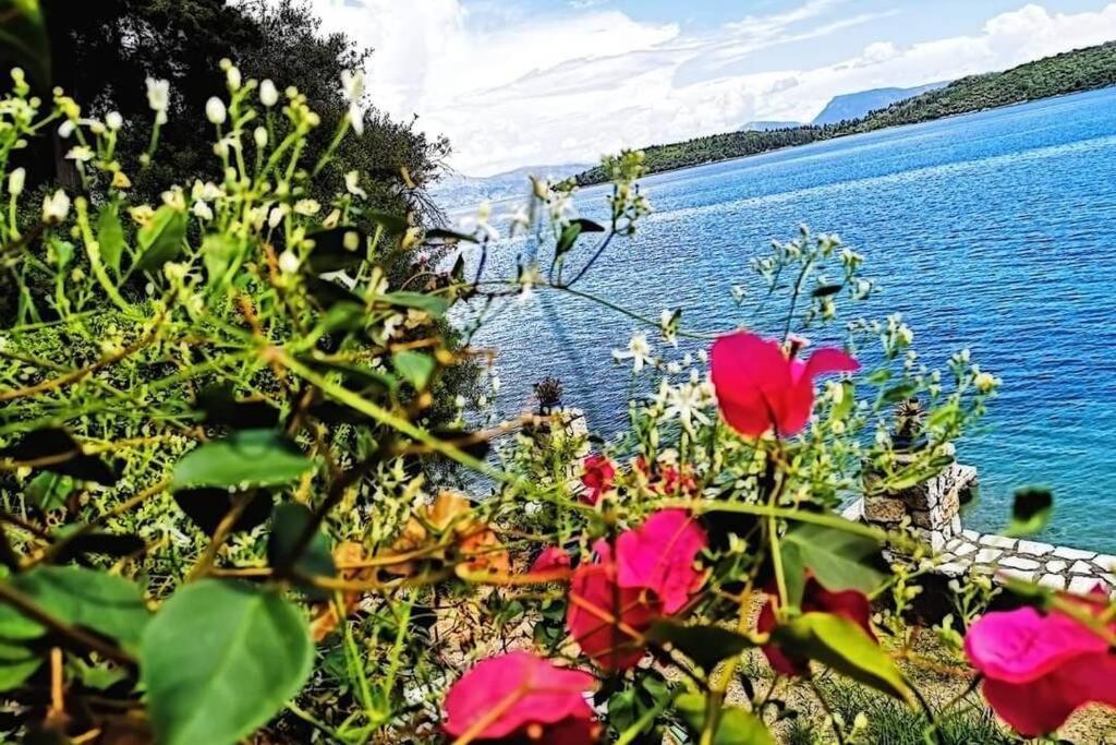 Villa Violeta Lefkada Nydri 外观 照片
