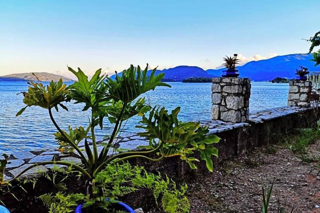 Villa Violeta Lefkada Nydri 外观 照片