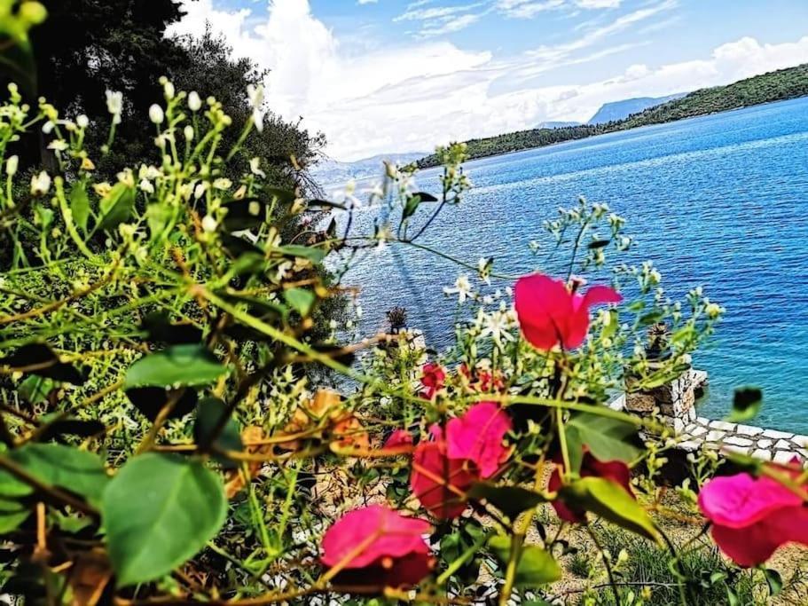 Villa Violeta Lefkada Nydri 外观 照片